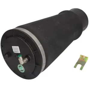 Ressort pneumatique ARNOTT EUROPE A-2949