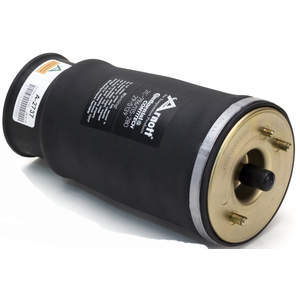 Comparateur de prix : Arnott Air Suspension A-2737 Suspension pneumatique