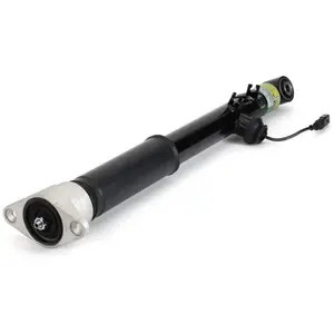 Arnott Europe Amortisseur pour AUDI: A6, S6 (Ref: SK-3560) pas cher