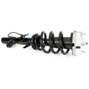 Arnott Europe Amortisseur pour BMW: X6, X5 (Ref: SK-3605) pas cher