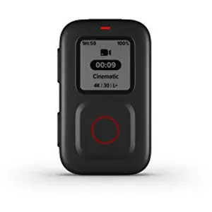 Accessoires pour caméra sport Gopro TELECOMMANDE The Remote pas cher