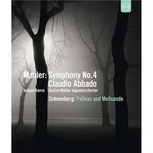 Comparateur de prix : Euroarts Symphonie n.4 - Pelleas et Melisande - Blu-Ray