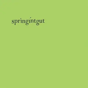 Pingipung Springintgut EP pas cher