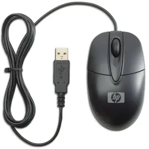 HP RH304AA souris Bureau Ambidextre USB Type-A Optique pas cher