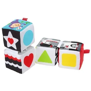 Fisher-Price Mes cubes d'éveil Fisher Price pas cher