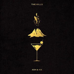 DOMINO The Kills - Ash & Ice (2 LP) pas cher