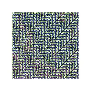 Comparateur de prix : Domino Merriweather Post Pavilion (15th Anniversary Deluxe Edition)