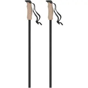 ATOMIC AMT Alpine Poles Mixte Adulte, Noir, 110 pas cher