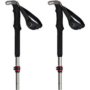 Atomic BCT Mountaineering SQS Poles Mixte Adulte, Silver/Grey, Taille Unique