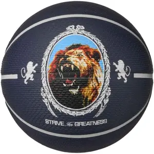 Comparateur de prix : nike Playground 8P 2.0 LB Lebron James Ballon Basket Adulte Taille 7