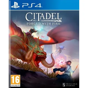 Comparateur de prix : Blue Isle Studios Jeu PS4 - Solutions2go - Citadel Forged with Fire - Blu-Ray - Éditeur Solutions2go