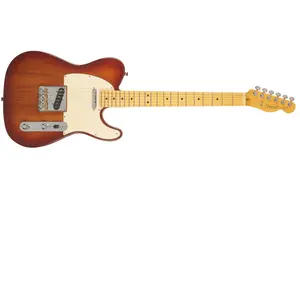 Fender American Professional II Telecaster - Sienna SunburstVendu parmichenaud