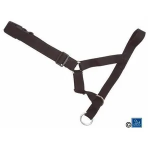 Company of Animals Collier anti-traction - HALTI - Taille 0 - Nylon - Marron - Chien pas cher