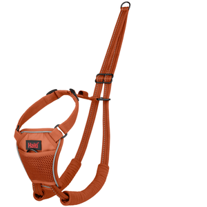 Harnais anti-traction Halti pour chien orange M pas cher