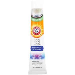 55g Arm & Hammer dentifrice - pour chien pas cher