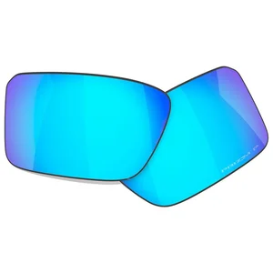 Oakley Verres De Rechange Heliostat Prizm Polarized pas cher