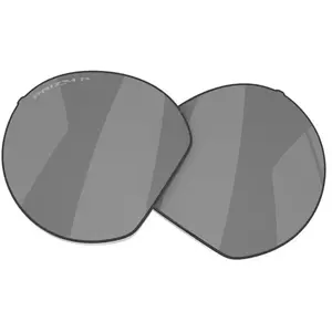 Oakley Verres De Rechange Hstn Prizm Polarized pas cher