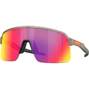 Comparateur de prix : Oakley Sutro Lite (Prizm Road) undefined TU
