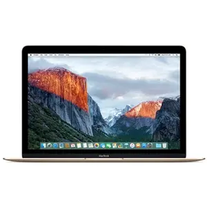 Apple MacBook - MK4M2F/A - 12" Rétina - 8Go de RAM pas cher