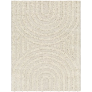 Surya Tapis Shaggy Moderne Beige/Blanc 200x275 pas cher
