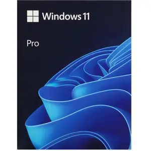 Microsoft Windows 11 Pro 64 Bit Espagnol Licence Permanente FPP USB pas cher