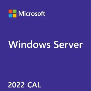 Microsoft Windows Server CAL 2022 Licence d'accès client 1 licence(s) pas cher