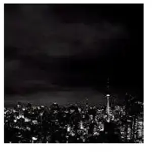 Comparateur de prix : Indochine Records Black City Parade