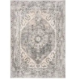 Safavieh Tapis Neutre/Gris 200 X 280 pas cher