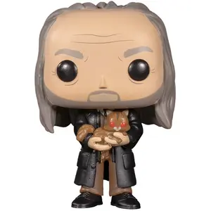 Funko Pop! Harry Potter: Filch & Mrs. Norris #101 Fall Convention [Box... pas cher