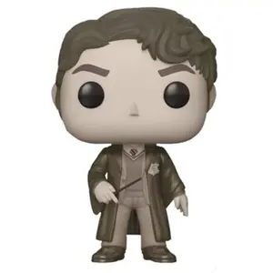Figurine Funko Pop - Tom Riddle (B Et W) - Harry Potter (60) - Pop Mov... pas cher