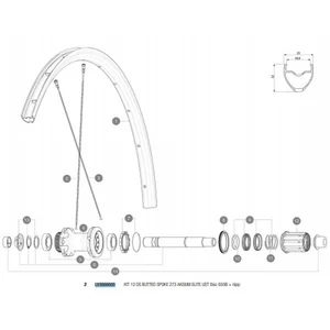 Mavic Rayons Arrière Droits Aksium Elite Ust Disc 650b 12 UnitésVendu parbikeinn