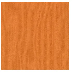 Bazzill Basics Paper Lot de 25 Feuilles de Scrapbooking Texture Toile Abricot Orange