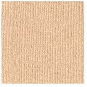 Bazzill Basics Paper 11110850 12 x 12 Pouces Paquet de 25 30.5 x 30.5 cm, Marron