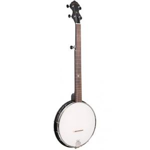Gold Tone Banjo 5 Open Back Nylgut Fretless pas cher