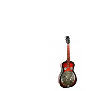 Comparateur de prix : Gold Tone Pbr - Guitare Résonateur Paul Beard