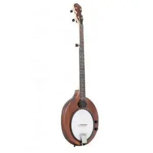 Banjo électrique Gold Tone E-5 (+ housse)Vendu parbax-music