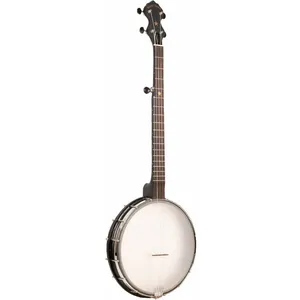 Gold Tone AC-12 Banjo 5