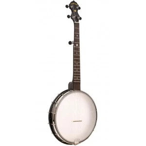 Gold Tone Banjo 5 Cordes Open Back FûT 12"