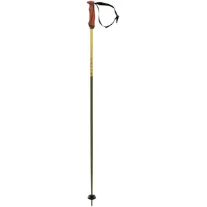 Völkl Phantastick 16Mm - Bâtons de ski alpin vert 110cm pas cher