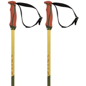 Comparateur de prix : Völkl Batons De Ski Phantastick 18Mm vert 110cm