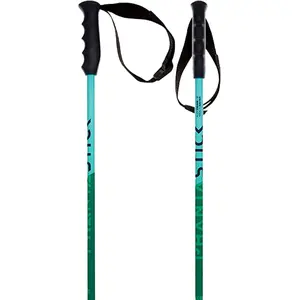 Völkl Batons De Ski Phantastick vert 110cm