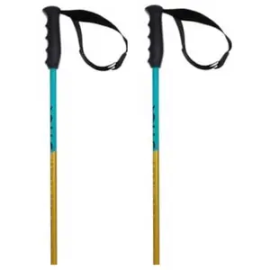 Comparateur de prix : Völkl Phantastick Jr - Bâtons de ski alpin jaune 100cm