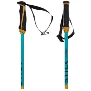 Volkl Bâtons Junior PhantastickVendu parsnowinn