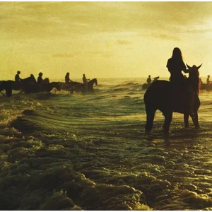 WARNER Holy fire Foals (Interprète) Vinyle album pas cher