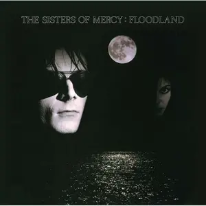 Comparateur de prix : WARNER MUSIC UK The Sisters of Mercy - Floodland  [VINYL LP] UK - Import