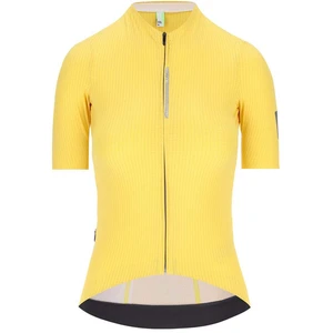 Q36.5 Maillot à Manches Courtes L1 Pinstripe Pro pas cher