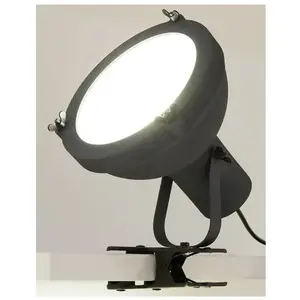 Comparateur de prix : NEMO Projecteur 165 Pincer Clip Lampe à pince, E27, PRP FDW 11,