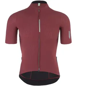 Maillot Q36.5 Pinstripe Pro manche courte violet. - S pas cher