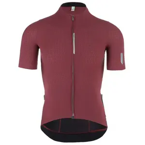 Q36.5 Maillot à Manches Courtes Pinstripe Pro