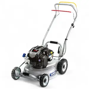 Comparateur de prix : Tondeuse thermique tractée, moteur 163cm3 Briggs & Stratton, Mulching ...